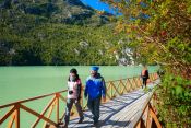 Turistas caminando por las pasarelas de Caleta Tortel Guía de Caleta Tortel, CHILE