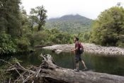 Parque Nacional Alerce Andino Guía de , 