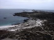 Isla Damas Guía de Punta de Choros, CHILE