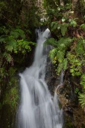 Cascada en Peulla Guía de Peulla, CHILE
