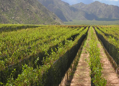 La Rioja, Via del Mar - ARGENTINA 