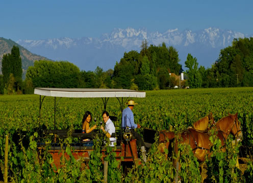 Valle de Colchagua, Santa Cruz - CHILE 