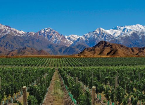 Valle de Uco, Santiago - ARGENTINA 