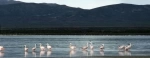 Monumento Natural Laguna de los Pozuelos.  San Salvador de Jujuy - ARGENTINA