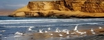 La Reserva Nacional de Paracas fue creada  con el fin de conservar ecosistemas del mar y del desierto del Perú..  Paracas - PERU