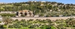 Monte de Los Olivos, Jerusalen. Israel. Guia de atractivos de Jerusalen.  Jerusalen - ISRAEL