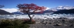 Bahía Onell, Parque Nacional Los Glaciares, Argentina, El Calafate, Guia.  El Calafate - ARGENTINA