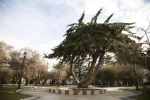 Plaza Muñoz Gamero, Guía de Atracciones de la ciudad de Punta Arenas.  Punta Arenas - CHILE