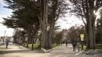 Plaza Muñoz Gamero, Guía de Atracciones de la ciudad de Punta Arenas.  Punta Arenas - CHILE