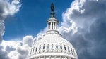Capitolio de los Estados Unidos, Guia de Washington, estados Unidos.  Washington DC - ESTADOS UNIDOS