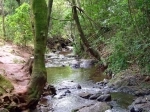 Parque das Mangabeiras, Belo Horizonte, guia de Actividades, que hacer, que ver.  Belo Horizonte - BRASIL