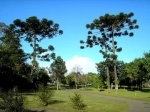Jardin Botanico de Curitiba. Guia de la ciudad. que ver, que hacer.  Curitiba - BRASIL
