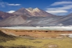 Laguna Miscanti, Guia de San Pedro de Atacama, Informacion.  San Pedro de Atacama - CHILE