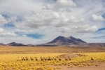 Reserva Nacional Los Flamencos, San Pedro de Atacama, Hoteles, Parques Nacionales.  San Pedro de Atacama - CHILE