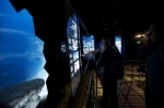 Glaciarium, Museos en el Calafate, Guia, turismo, que hacer, reservas, informacion, El Calafate Argentina.  El Calafate - ARGENTINA