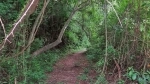 Parque Nacional Calilegua.  San Salvador de Jujuy - ARGENTINA