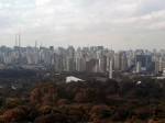 Parque de Ibirapuera.  Sao Paulo - BRASIL