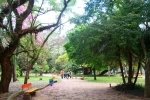 Parque Moinhos de Vento, Guia de Atractivos de Porto Alegre. Brasil.  Porto Alegre - BRASIL
