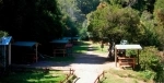 Termas Aguas Calientes, Puyehue, Informacion, que ver, que visitar, Accesos.  Puyehue - CHILE