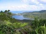 Parque Regional Waitakere Ranges, Auckland, Nueva Zelanda. Guia, Informacion.  Auckland - NUEVA ZELANDIA