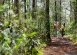 Parque ecoturístico Arví, Medellin. Colombia. Parques nacionales en Colombia.  Medellin - COLOMBIA