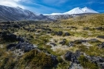 Parque Nacional Puyehue, Guia de Parques Nacionales en Chile. Informacion, Hoteles, Turismo.  Puyehue - CHILE