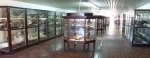 Museo de Ciencias Naturales Domingo Faustino Sarmiento.  Mendoza - ARGENTINA