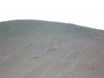 Valle de Azapa. Guia de Arica y sus Alrededores..  Arica - CHILE