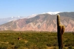 Parque Nacional Los Cardones, Parques nacionales, Argentina, Salta.  Payogasta - ARGENTINA