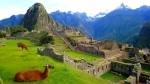 Machu Pichu. Peru.  Machu Picchu - PERU