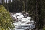 Parque Nacional Jasper , Jasper, Alberta. Canada.  Jasper - CANADA