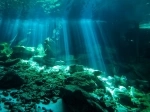 Cenote Dos Ojos, Informacion, guia de Tulum - Cancun, Mexico.  Tulum - MEXICO