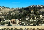 Monte de Los Olivos, Jerusalen. Israel. Guia de atractivos de Jerusalen.  Jerusalen - ISRAEL