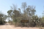 Parque Nacional Copo.  Santiago del Estero - ARGENTINA