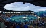 Miami Seaquarium. Guia de atracciones de Miami. que hacer, que ver, informacion.  Miami, FL - ESTADOS UNIDOS