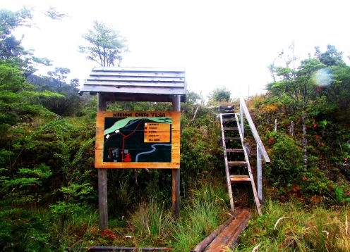 Sendero al Cerro La Bandera, Caleta Tortel