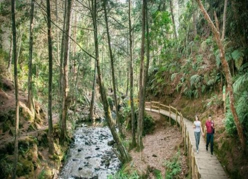 Parque ecoturstico Arv