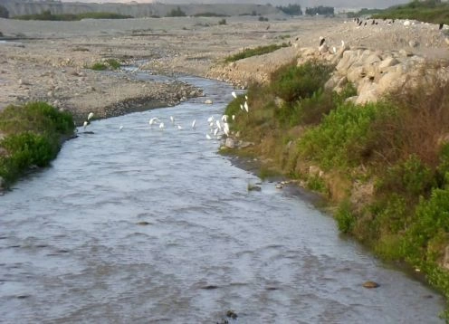 Ro Lluta, Arica