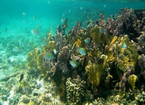 Parque Nacional Natural Marino Corales del Rosario y San Bernardo