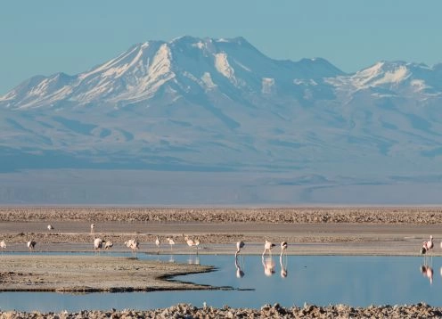 Laguna Chaxa