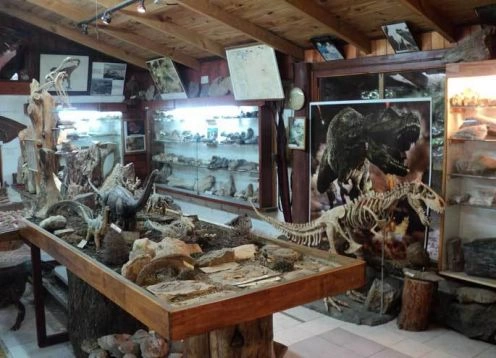 Museo de Geolog�a y Paleontolog�a Dr. Rosendo Pascual, 
