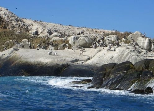 Monumento natural Isla Cachagua, Cachagua