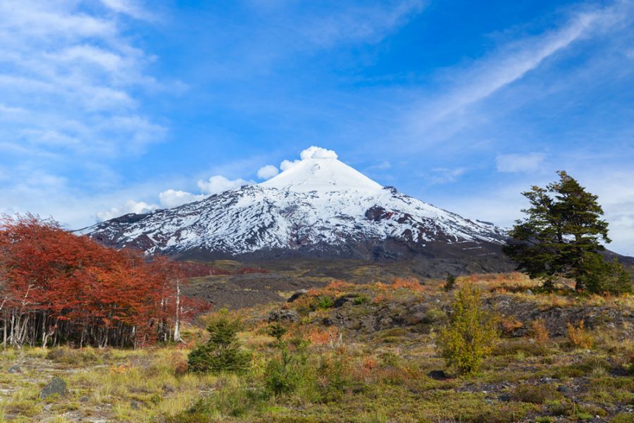 Parque Nacional Villarrica en Pucon Pucon, CHILE