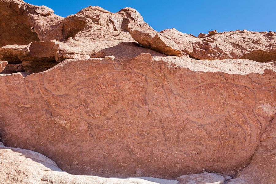 Petroglifos de Yerbas Buenas San Pedro de Atacama, CHILE