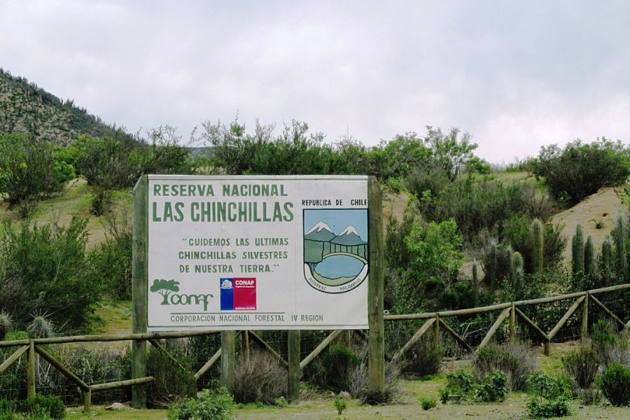 Reserva Nacional Las Chinchillas Illapel, CHILE