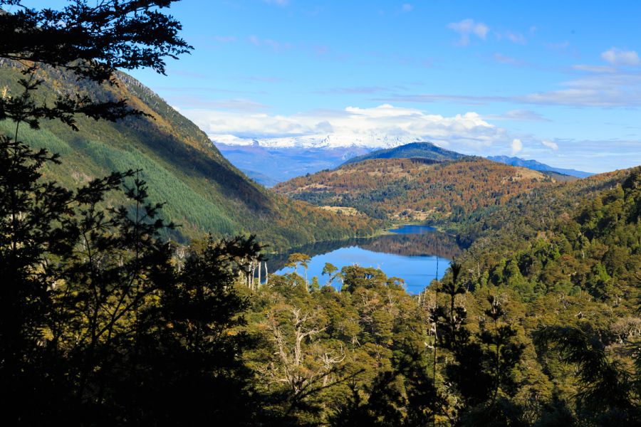 Parque Nacional Huerquehue, Guia de parques nacionales en Chile Pucon, CHILE