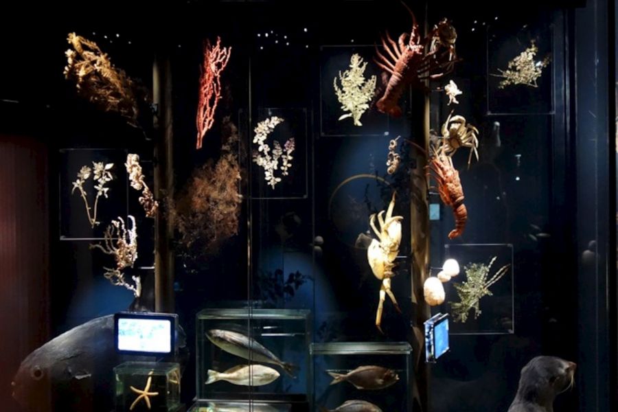 Museo de Historia Natural de Valparaiso Valparaiso, CHILE