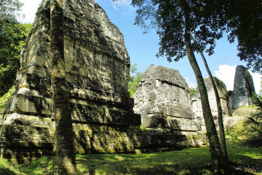 Parque Nacional Tikal, Guatemala. Peten. Guia e informacion Flores, GUATEMALA