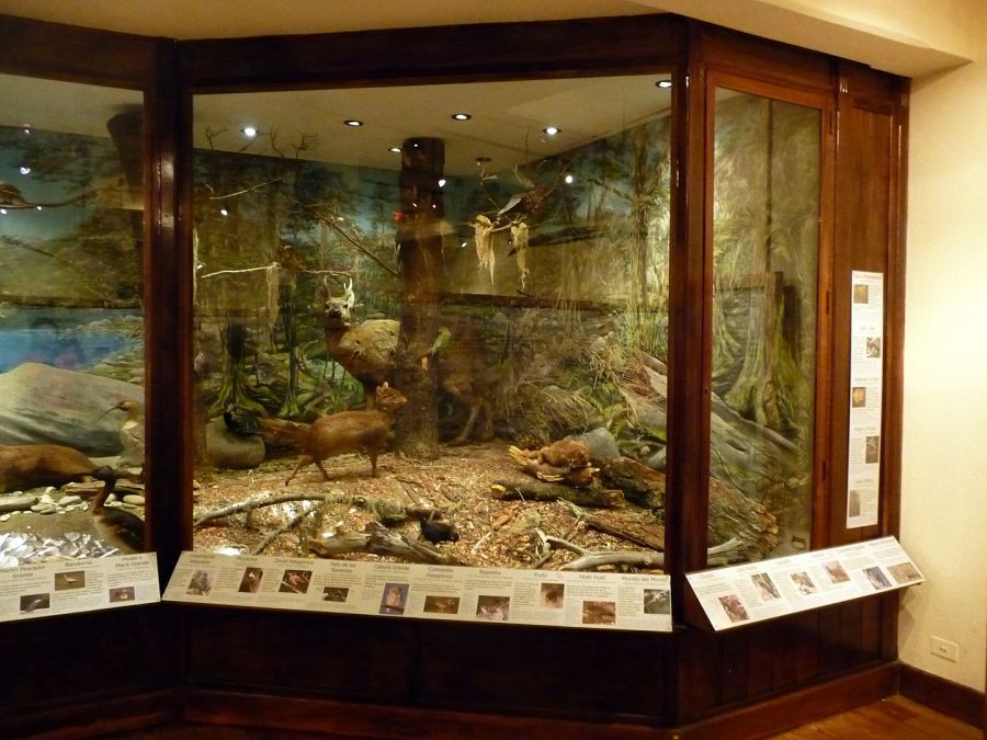 Museo de la Patagonia. Bariloche - Argentina Bariloche, ARGENTINA