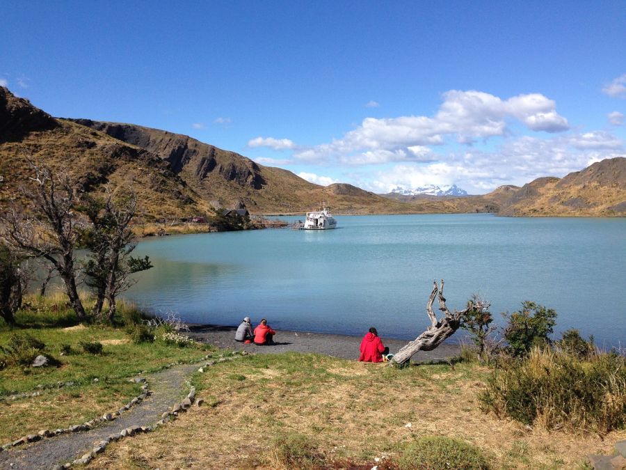 El Lago Peho�, es un lago ubicado dentro de el Parque nacional Torres del Paine Torres del Paine, CHILE